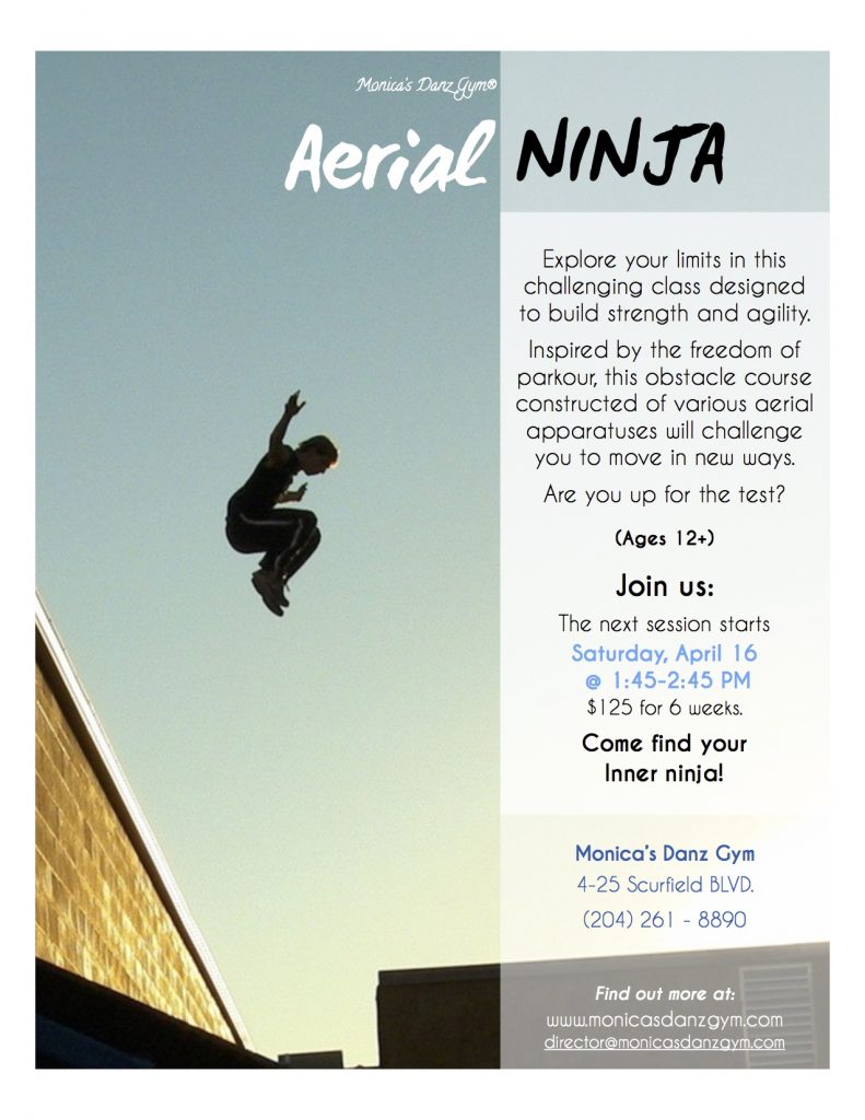 Inner Ninja Poster - Spring 2016 (JPEG)