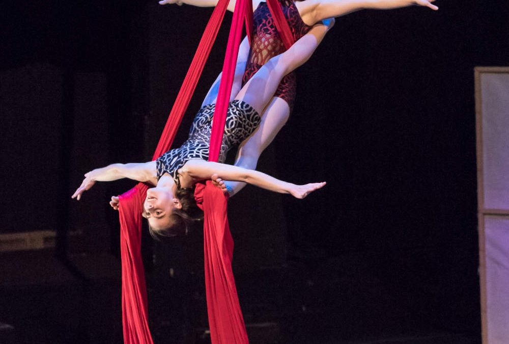 Momentum Aerial & Acrobatic Troupe
