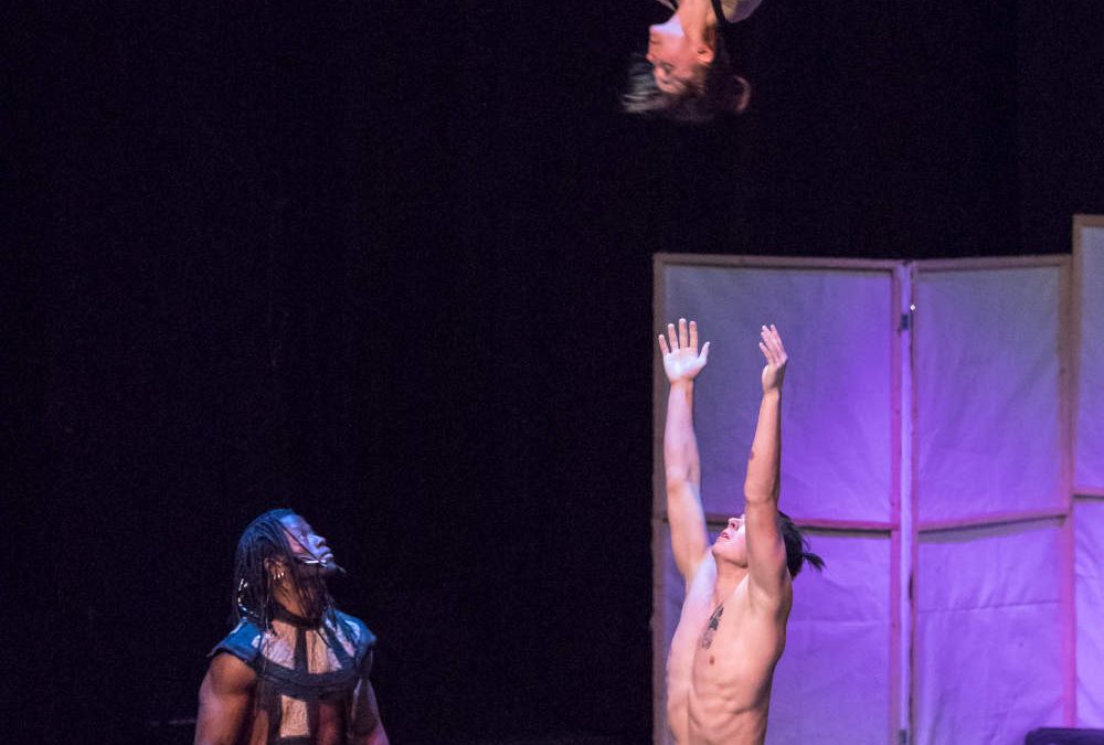Momentum Aerial & Acrobatic Troupe