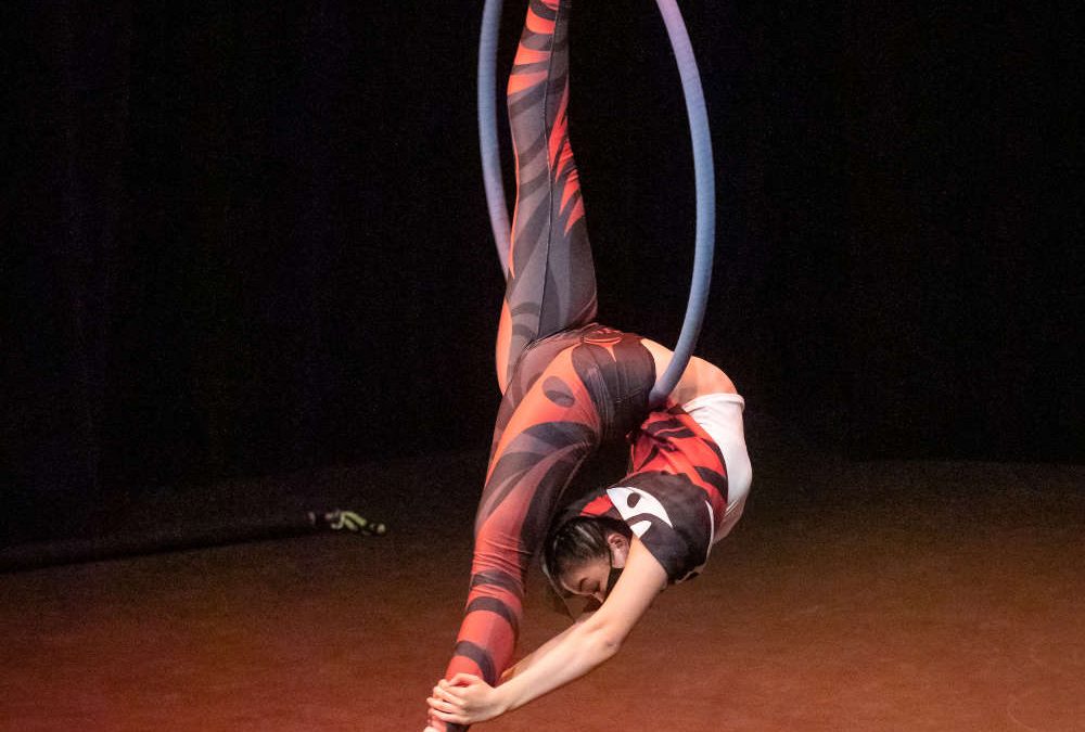 Monica’s Danz Gym